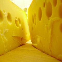 Cheese Phobia!