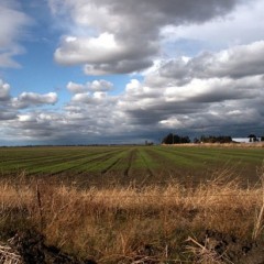 Joy from Colorado Clouds